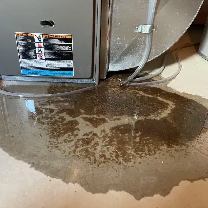 Appliance Leak Cleanup in Harrison, NE